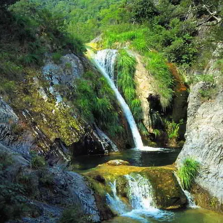 Eliza By Panel Hospitality